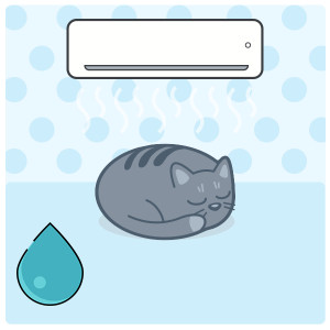humidity-control-pet-at-home